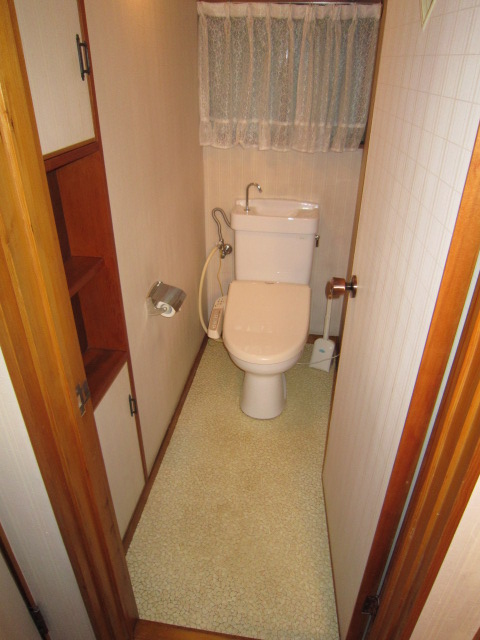 Toilet. Flush toilet