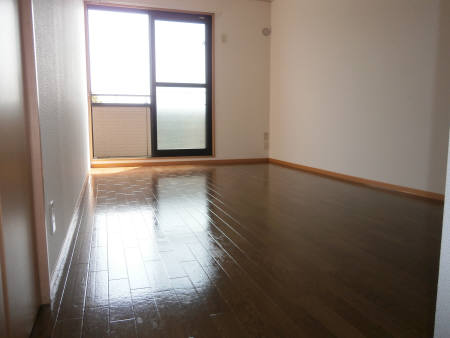 Living and room. Day is a good and bright rooms.