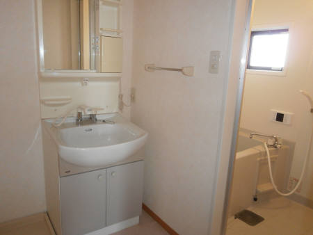 Washroom. Convenient shampoo dresser in the morning