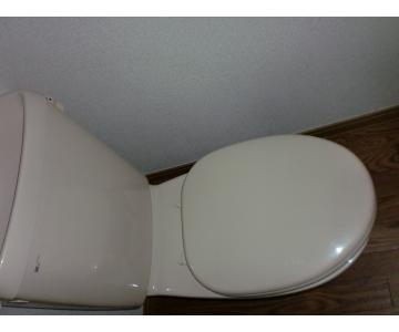 Toilet. Beautiful toilet.