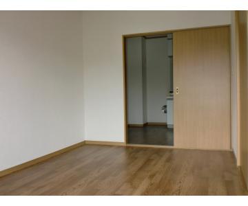 Living and room. Beautiful room.