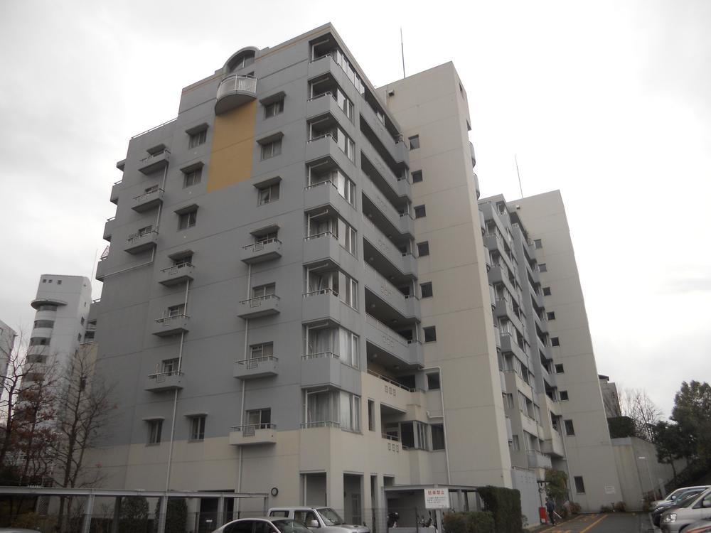 Local appearance photo. Local (12 May 2013) Shooting