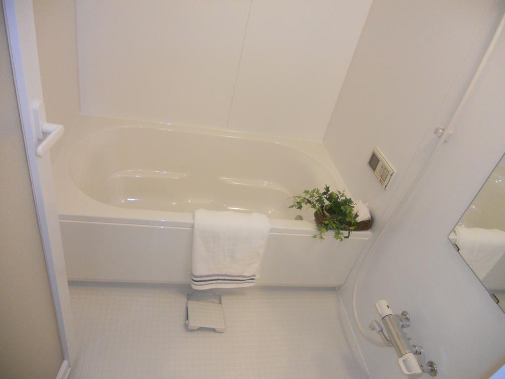 Bathroom. Indoor (12 May 2013) Shooting