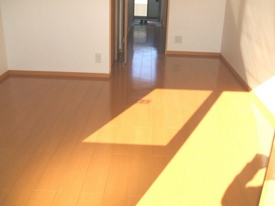 Living and room.  ☆ Flooring ☆