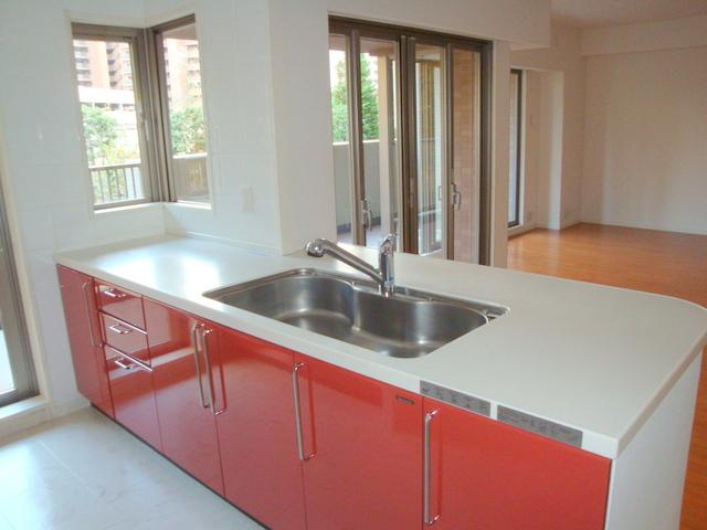 Kitchen. Indoor (11 May 2013) Shooting