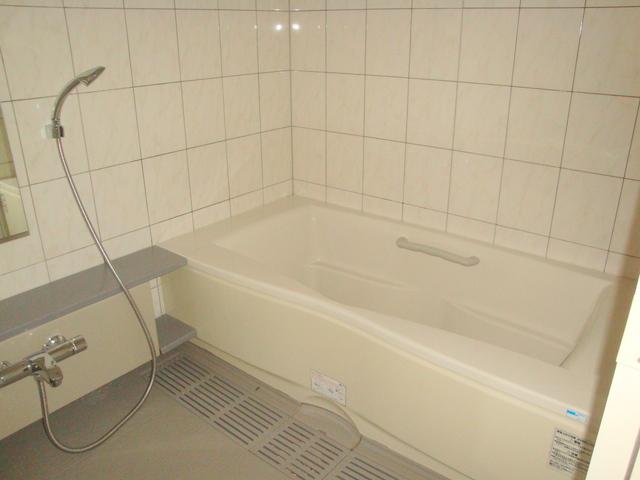 Bathroom. Indoor (11 May 2013) Shooting