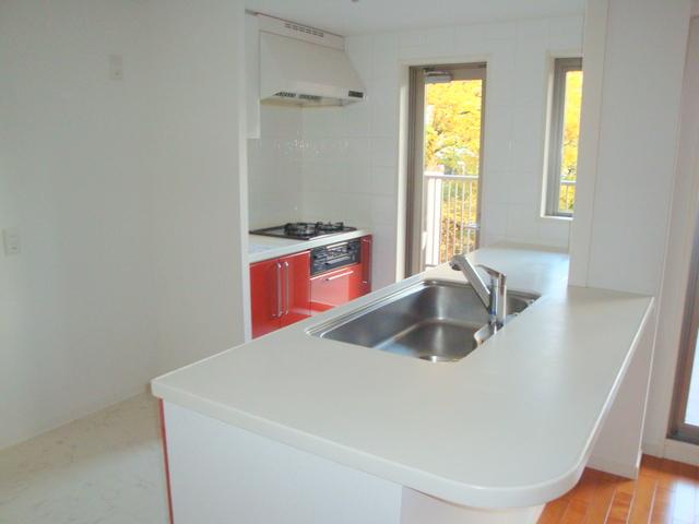 Kitchen. Indoor (11 May 2013) Shooting