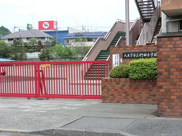 Primary school. 707m to Hachioji Municipal Kunugida Elementary School