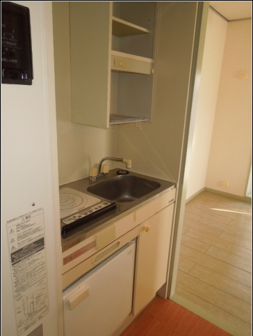 Kitchen. With IH cooking heater