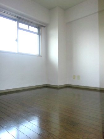 Living and room. Western-style 4.5 Pledge