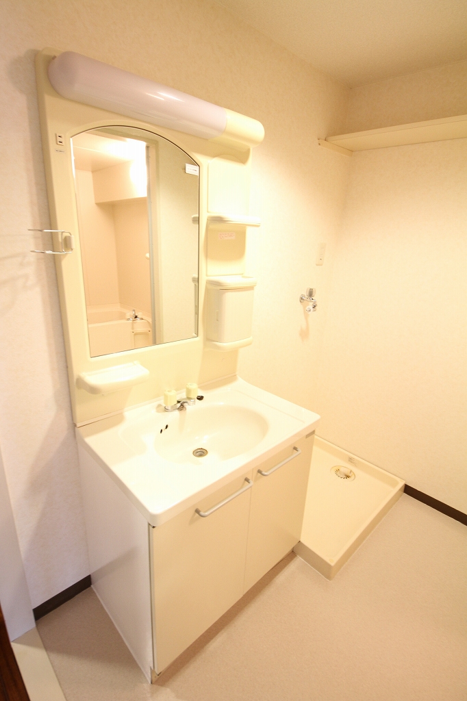 Washroom. It is a beautiful wash basin