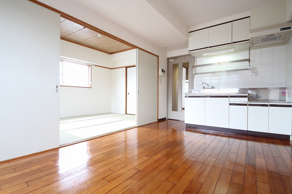 Living and room. Bright living.