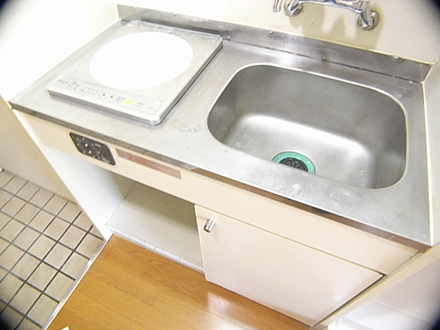 Kitchen. IH cooking heater system Kitchen