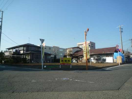 Local land photo. Appearance (1)