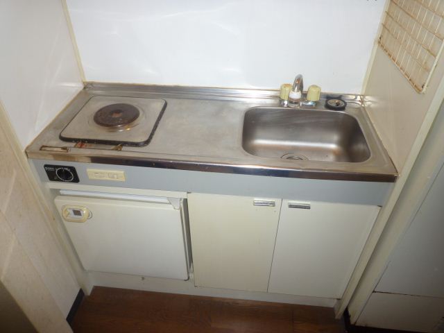 Kitchen. Ally of living alone is a compact mini-kitchen!