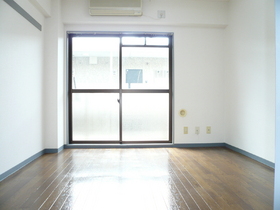 Living and room. Room (reference photograph)