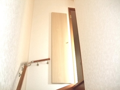 Other. Thor type of shoes BOX