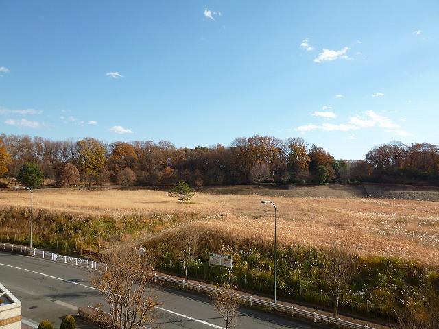 Other. View from the balcony