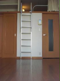 Living and room. 1F flooring 2F carpet