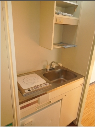 Kitchen. With IH cooking heater