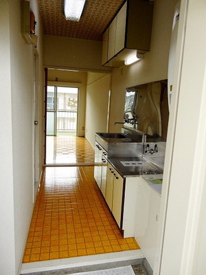 View. From the front door