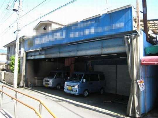 Local land photo. Appearance (1)