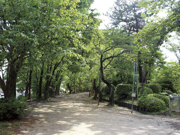 Surrounding environment. Fuji Forest Park (walk 17 minutes, About 1300m)