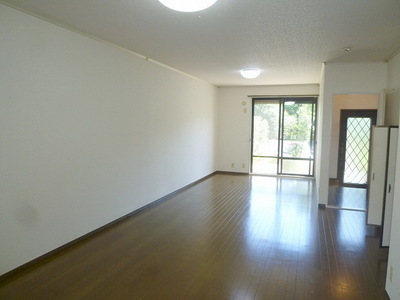 Living and room.  ☆ Large living ☆ 