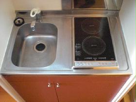 Bath. Electric stove 2-neck