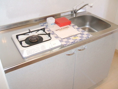 Kitchen. Strong gas stove of firepower!