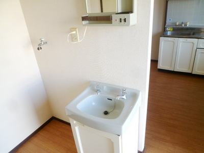 Washroom. Independent wash basin