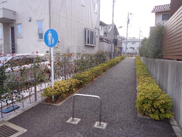 Local photos, including front road