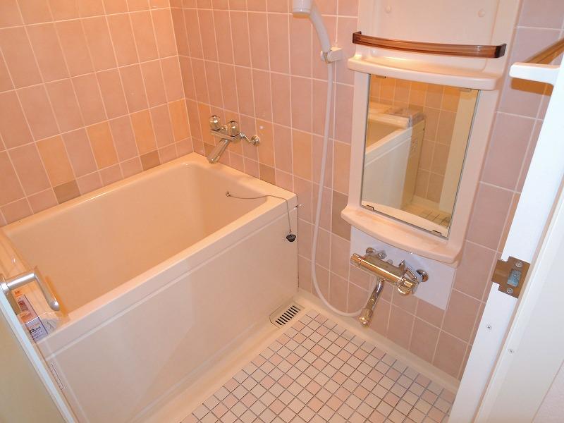 Bathroom. Bathroom mirror new replaced.