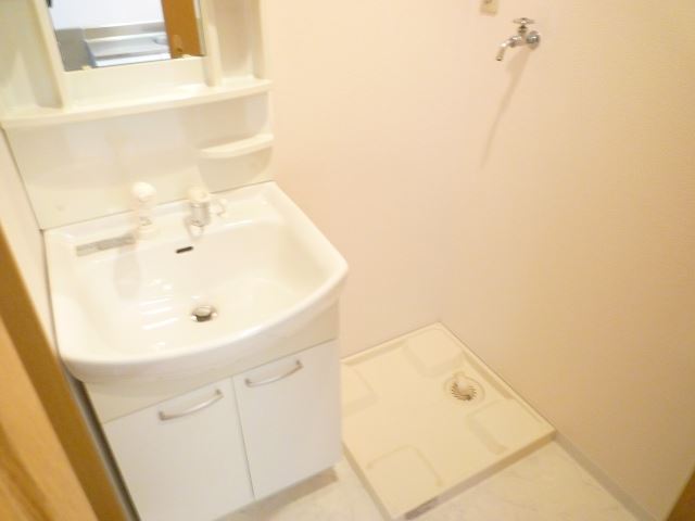 Washroom. It is with a popular shampoo dresser