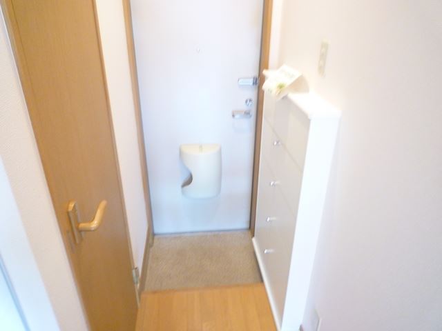 Entrance. Entrance with shoe rack