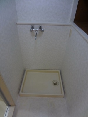 Other. There and somehow safe washing machine van