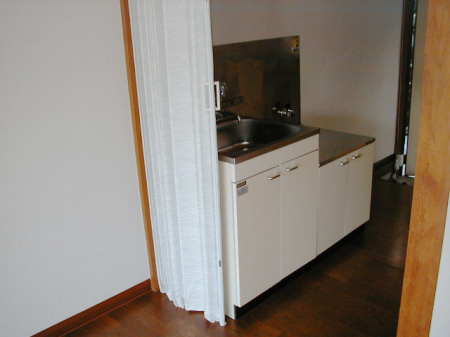 Kitchen. Stovetop sink