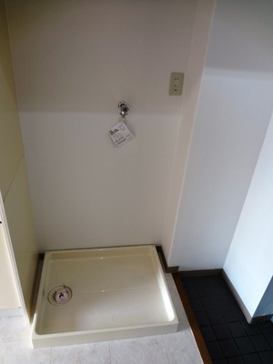 Other room space. Laundry Area