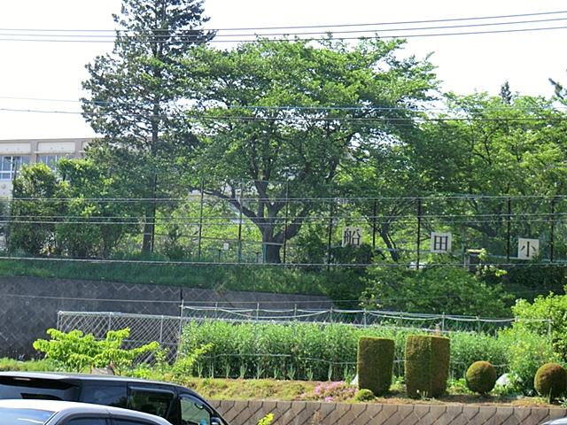 Primary school. 660m to Hachioji City NIECE Elementary School 3