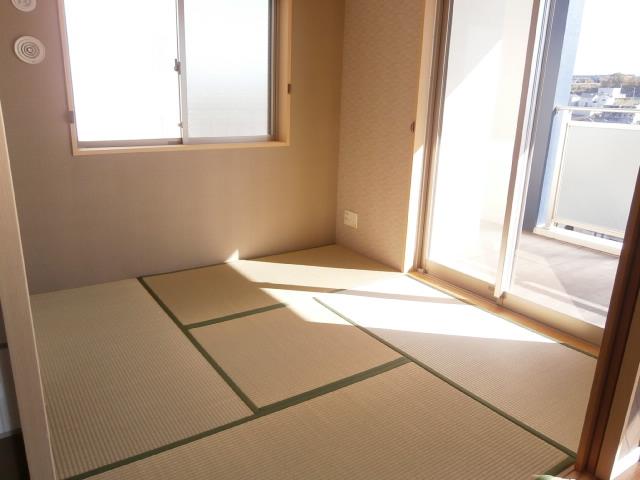 Non-living room. Two-sided lighting Japanese-style room