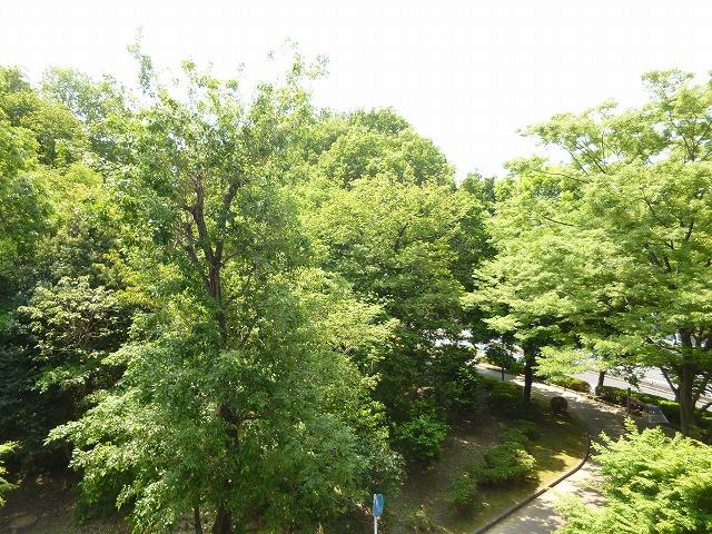 View photos from the dwelling unit. View photos from the local -2