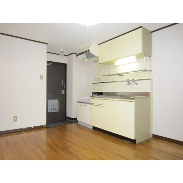 Kitchen. Storage space rich kitchen!