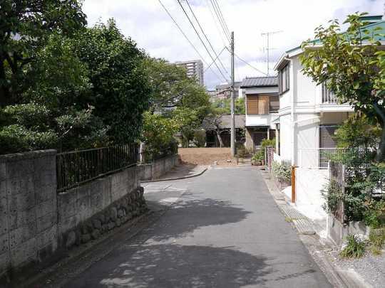 Local photos, including front road