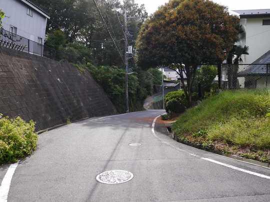 Local photos, including front road