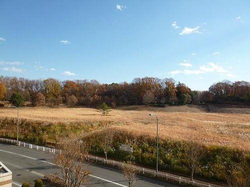 View photos from the dwelling unit