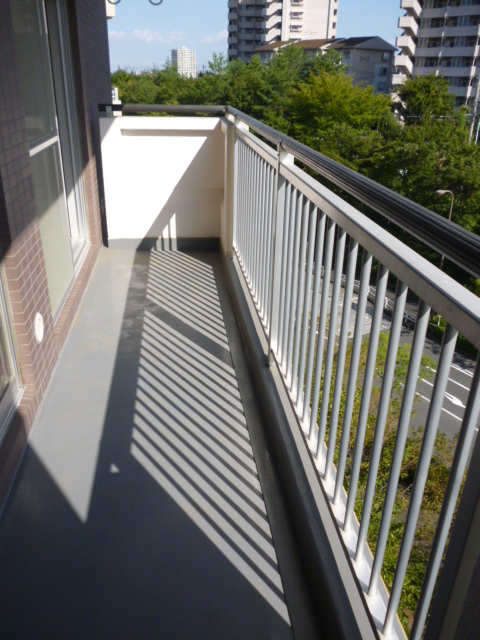 Balcony. South-facing bright balcony