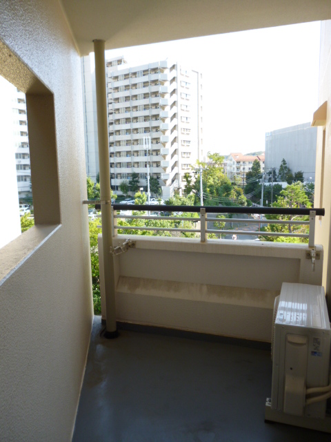 Balcony. Balcony of a triangle with a breadth that is out of the back door. 