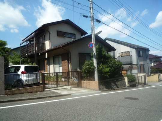 Local land photo. Appearance (1)