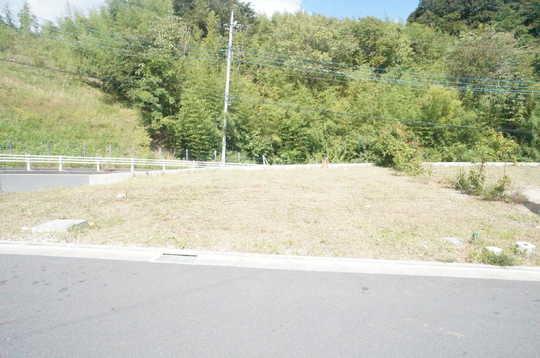 Local appearance photo. Local Photos