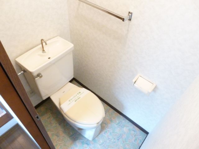 Toilet. Washing machine storage is located in the room.